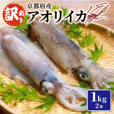 ふるさと納税 京都府 訳あり 【京都府産 アオリイカ】約1kg(2杯)