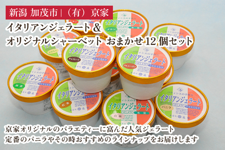 京家のイタリアンジェラート&オリジナルシャーベット おまかせ12個セット アイス アイスクリーム 氷菓 スイーツ ひんやり 有限会社京家 加茂市 