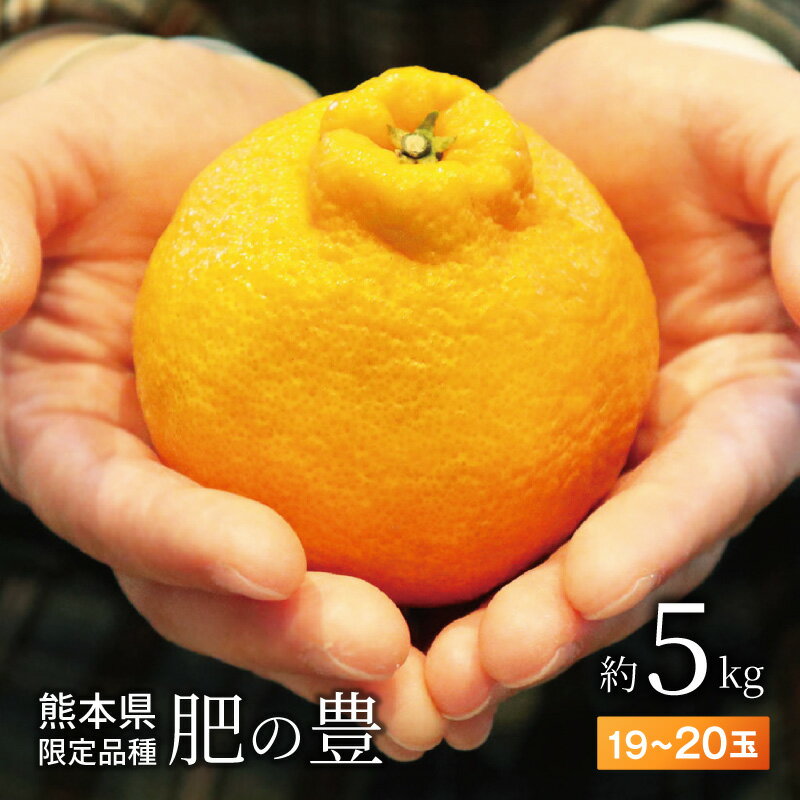 【ふるさと納税】肥の豊 約 5kg 19 ～ 20玉 L ～ 3L サイズ混合 天草産 熊本限定品種 収穫後熟成 サイズ混合 瑞々しい果汁 不知火 オリジナル 柑橘 果物 フルーツ 食品 オレンジファーム本田 熊本県 天草市 お取り寄せ お取り寄せグルメ 送料無料 先行受付