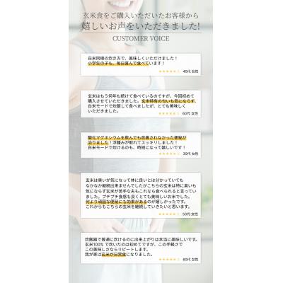 ふるさと納税 阿賀野市 【令和7年産】【6ヶ月定期便】ふっくら玄米食 6kg(2kg×3)×6回 米杜氏 |  | 03