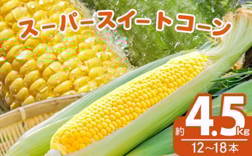 ≪期間限定≫スーパースイートコーン(約4.5kg) とうもろこし 野菜 国産_T003-004