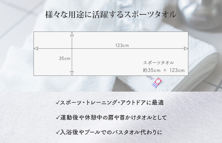  （今治タオルブランド認定）ランドスケープスポーツタオル １枚 ライトブルー 今治タオル スポーツタオル [IA05210LB]