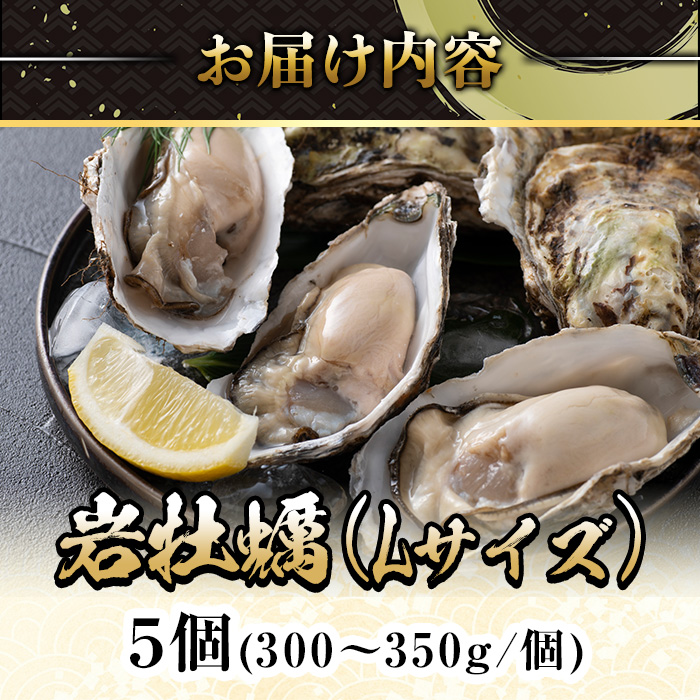 ＜平日着※指定日不可＞＜3月中旬～4月下旬発送予定＞岩牡蠣(養殖)Lサイズ(5個)【sm-DD008・sm-DD009】【Workplays】