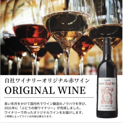 ぶどうの樹の自家製スモーク(4種)A＆自社醸造の赤ワインセット【配送不可地域：離島】