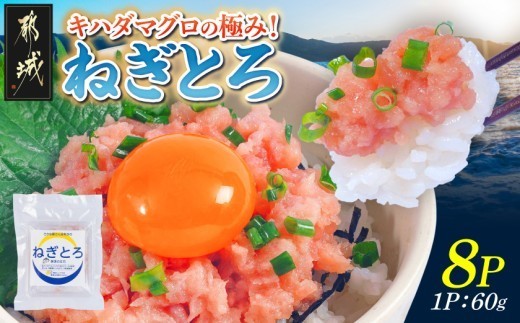 
                  キハダマグロの極み！ねぎとろ60g×8パック〔M3-004-8〕_(都城市) ネギトロ丼 まぐろ 手巻き寿司
                