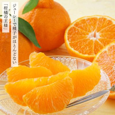 ふるさと納税 新宮町 いわくま果樹園自慢の不知火/約4kg(2027年2〜3月発送予定).AB483.ST |  | 01