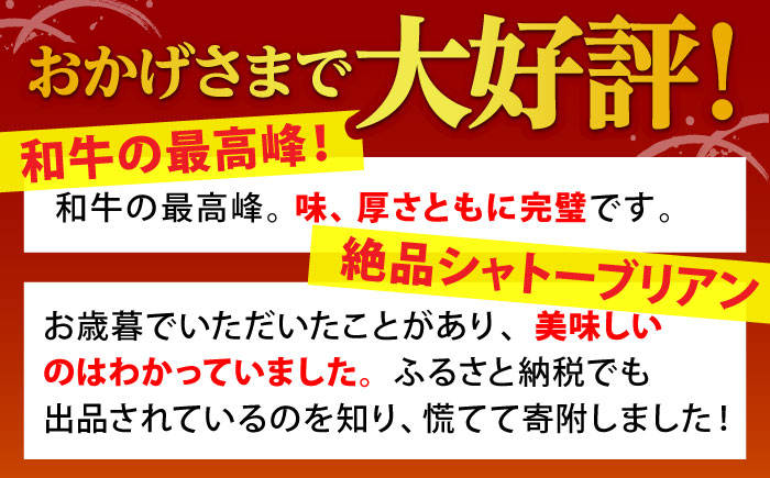 【全3回定期便】佐賀牛 シャトーブリアン 400g（200g×2枚）【山下牛舎】 [HAD069]