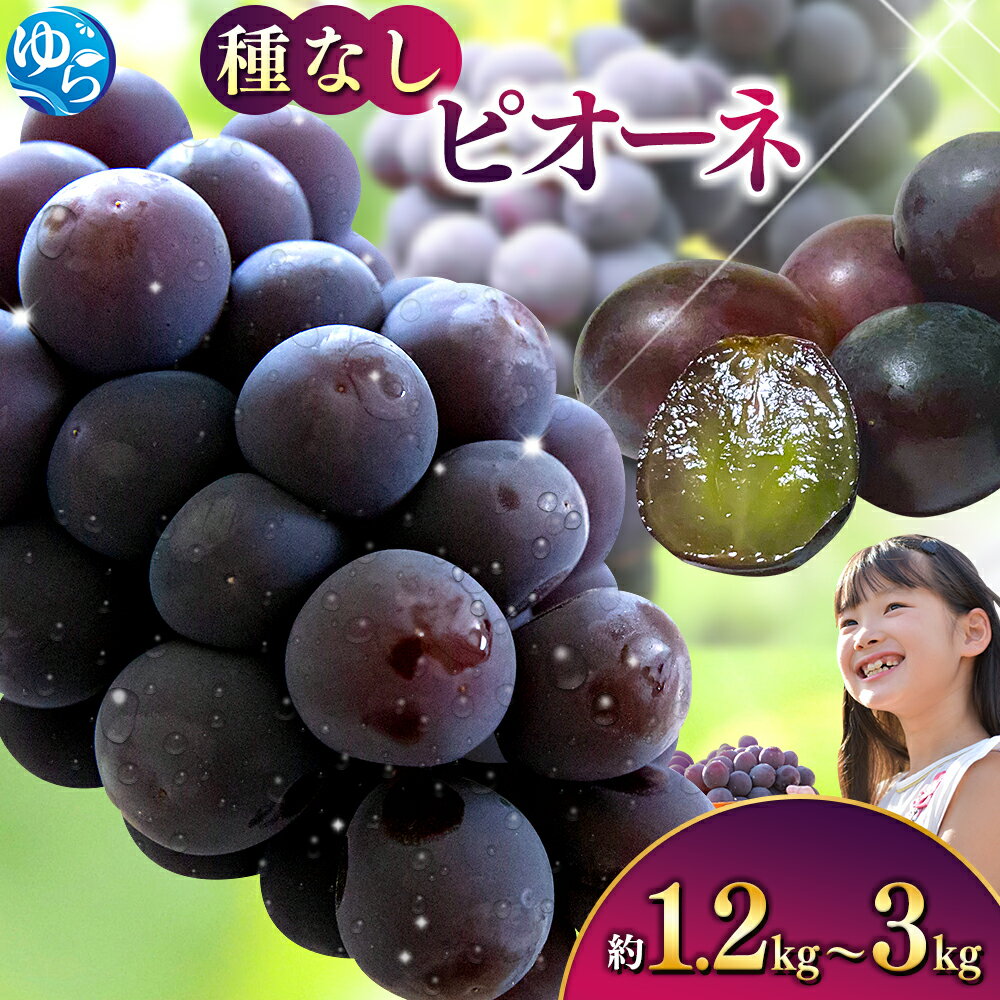 【ふるさと納税】 ピオーネ たねなし 厳選 / ぶどう 種無し 甘い 高級 和歌山 2kg 3kg ※8月中旬～9月下旬に順次発送 ※北海道・沖縄・離島への配送不可