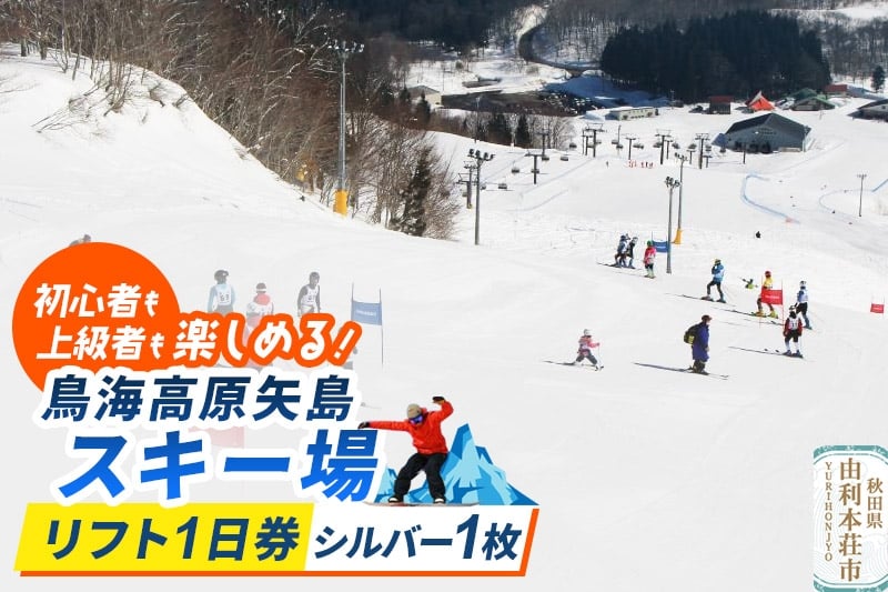 
            鳥海高原矢島スキー場 リフト1日券 シルバー(60歳以上) 1枚【営業期間：2025年12月～2026年3月】＜簡易書留＞
          