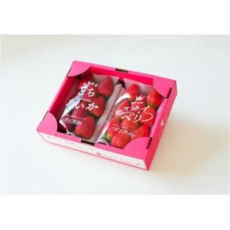 豪華!栃木イチゴ2種(スカイベリー・とちあいか)大粒 食べ比べセット(300g×2パック)_いちご 苺 果物 フルーツ くだもの スカイベリー とちあいか 大粒 食べ比べ セット 人気 おすすめ 送料