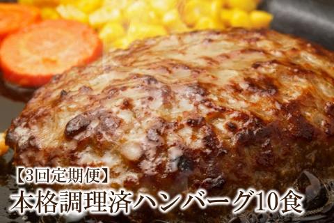 【3回定期便】本格調理済ハンバーグ10食 特製ソース付【001-0377】