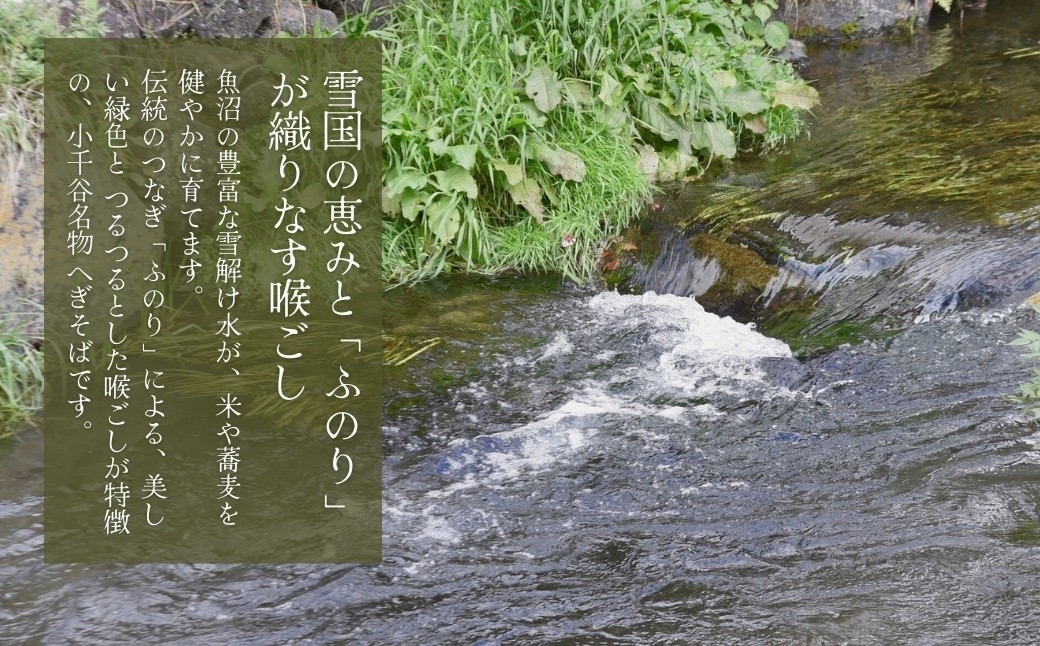 美しい緑色の麺、弾力のある食感とつるりとしたのどごし