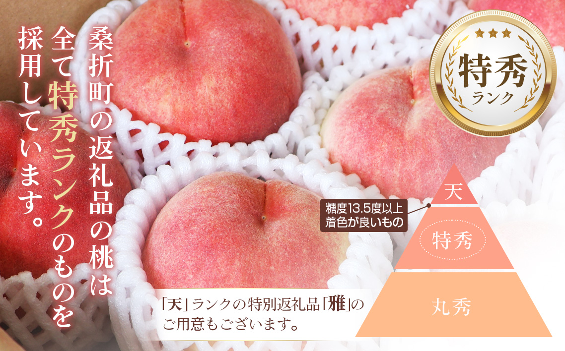 桃づくし定期便【献上桃の郷桑折町産桃3kg×4回】4品種の桃を味わう！