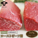 【ふるさと納税】【牧場直送】佐賀牛 赤身ブロック（ローストビーフ用）700g（350g×2パック）【有限会社佐賀セントラル牧場】小分け 黒毛和牛 肉 お肉 牛肉 ブロック肉 塊肉 冷凍 [IAH061]