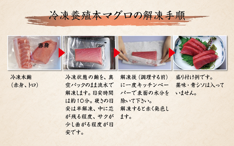 本マグロ トロ＆赤身セット 3kg（養殖） 【2週間以内に発送】 濃厚な赤身と高級部位トロの鮪好きにはたまらないセット【串本町×北山村】 高級 クロマグロ