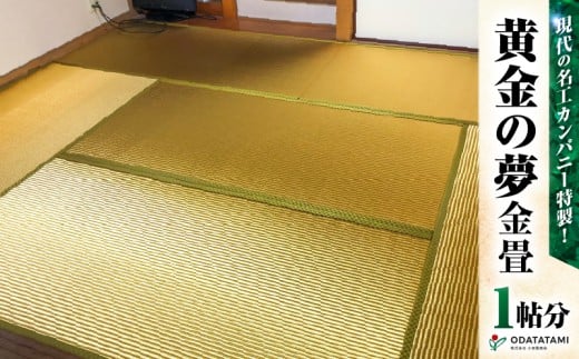 現代の名工カンパニー特製！黄金の夢（畳1帖サイズ）　K348-005