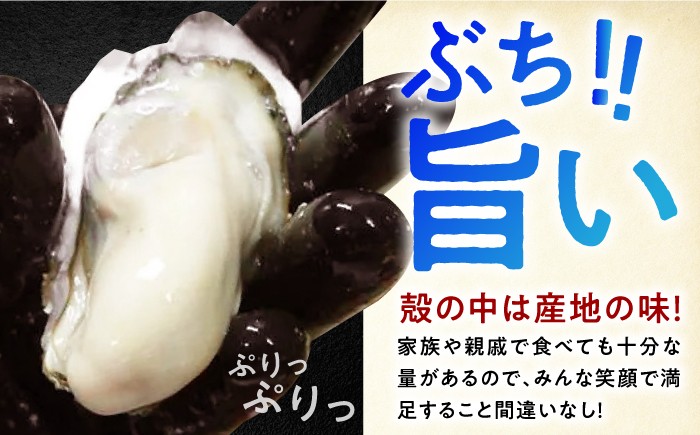 牡蠣 殻付き 殻 かき カキ 冷凍 広島牡蠣 オイスター kaki 広島県産
