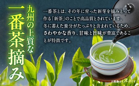 一番茶摘み緑茶ハレーすいせい1号(上煎茶)250g　2本セット_B079-011