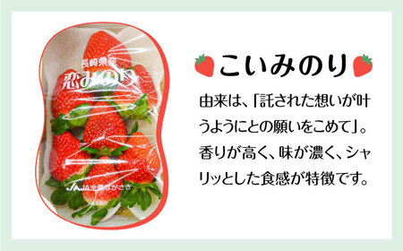 【2025年1月〜発送】【セット内容が選べる】 いちご 2種類 食べ比べ 約250g×4P / ゆめのか こいみのり / イチゴ 苺 果物 フルーツ / 南島原市 / JA島原雲仙東南部基幹センター[