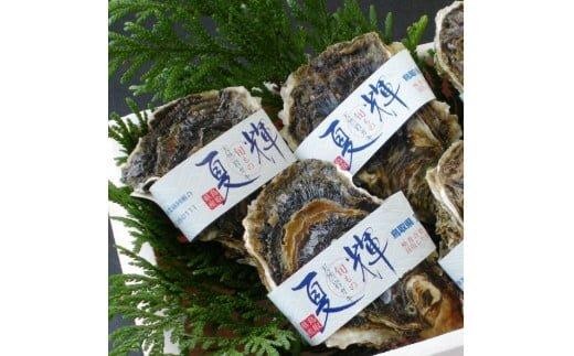 【2026年6月上旬以降発送 先行予約】鳥取県産 天然岩ガキ『夏輝』ブランドタグ付き　3個（400g以上×3個） 牡蠣 カキ※着日指定不可※2026年6月上旬～8月下旬頃に順次発送予定【牡蠣 かき 岩
