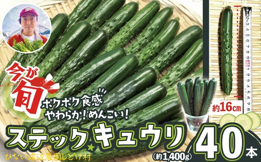 
                  ステックキュウリ ポクポク柔らか！めんこい！約40本 90P3213 / 東北 秋田 大館 野菜 新鮮 農産物 農家  農家直送  きゅうり ステックキュウリ キュウリ サラダ
                