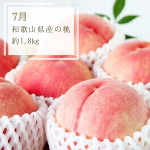 【全3回】夏と秋を味わうフルーツ定期便 (桃・マスカット・柿)【tkb370】