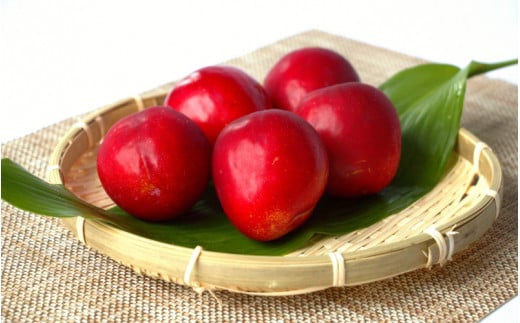 先行予約 すもも（フランコ）2kg  ※6月中旬～7月中旬頃に順次発送予定【期間限定・2025/6/20まで】 / スモモ お取り寄せ 期間限定 夏 フルーツ 果物 サンタローザ 和歌山県 田辺市【m