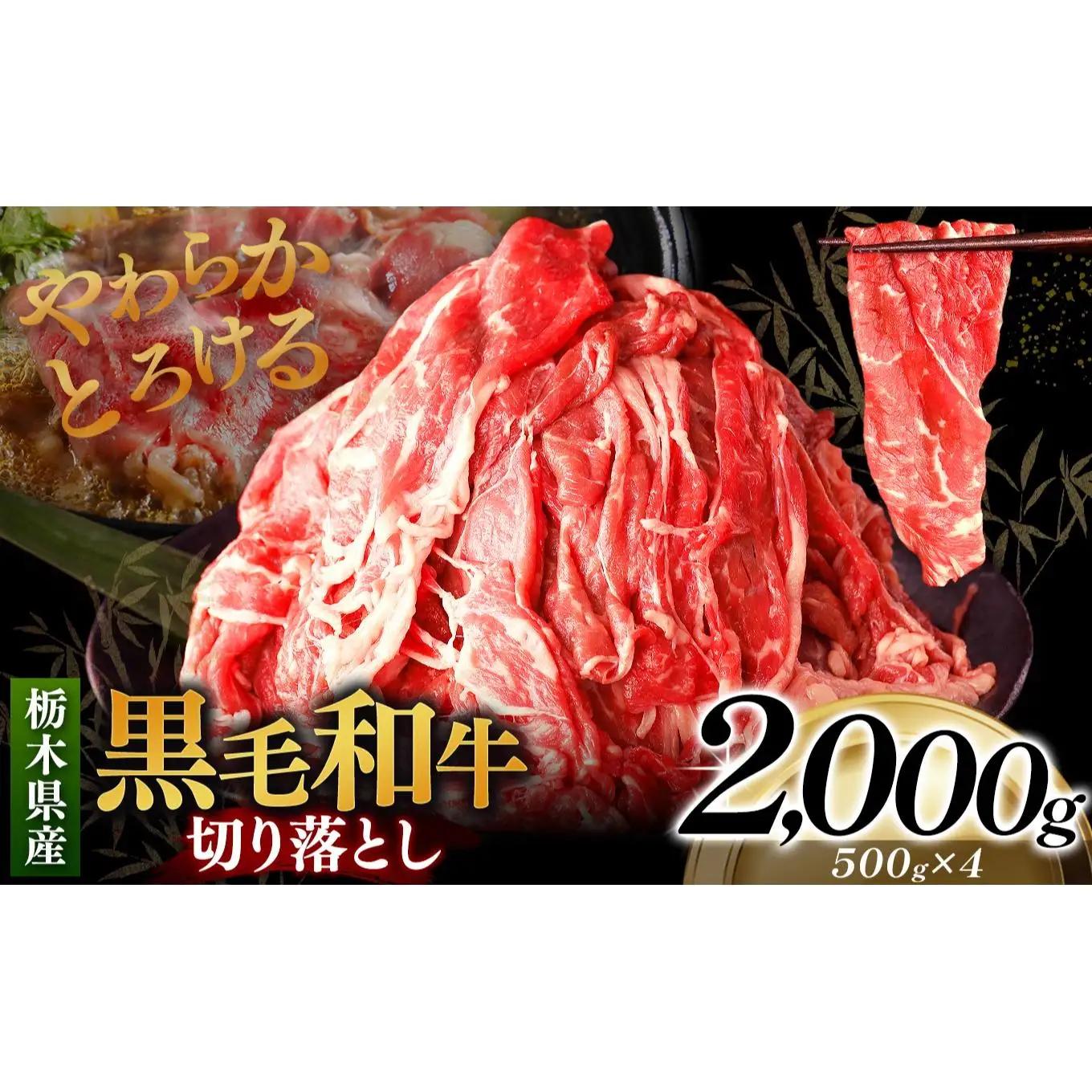 栃木県産黒毛和牛切り落とし 2000g｜数量限定 黒毛 和牛 牛肉 国産牛 国産 ブランド牛 お肉 切り落とし サシ 霜降り 甘い ステーキ すき焼き しゃぶしゃぶ 焼肉 切落し 上品 アレンジ 美味しい 料理 主婦 とちぎ  栃木県 矢板市