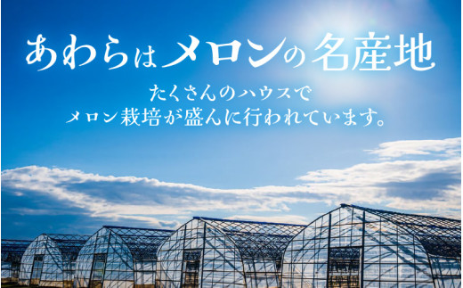 【先行予約】メロンの王様！アールスメロン 2玉入 2～3L 〈贈答用にも最適な最高級メロン〉／ 期間限定 果物 フルーツ 高級メロン マスクメロン 青肉 産地直送 ※2027年7月上旬より順次発送 [