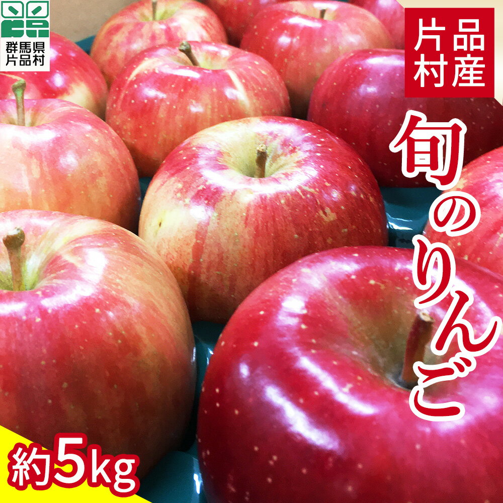 【ふるさと納税】尾瀬の郷 片品村産 旬のリンゴおまかせセット 約5kg
