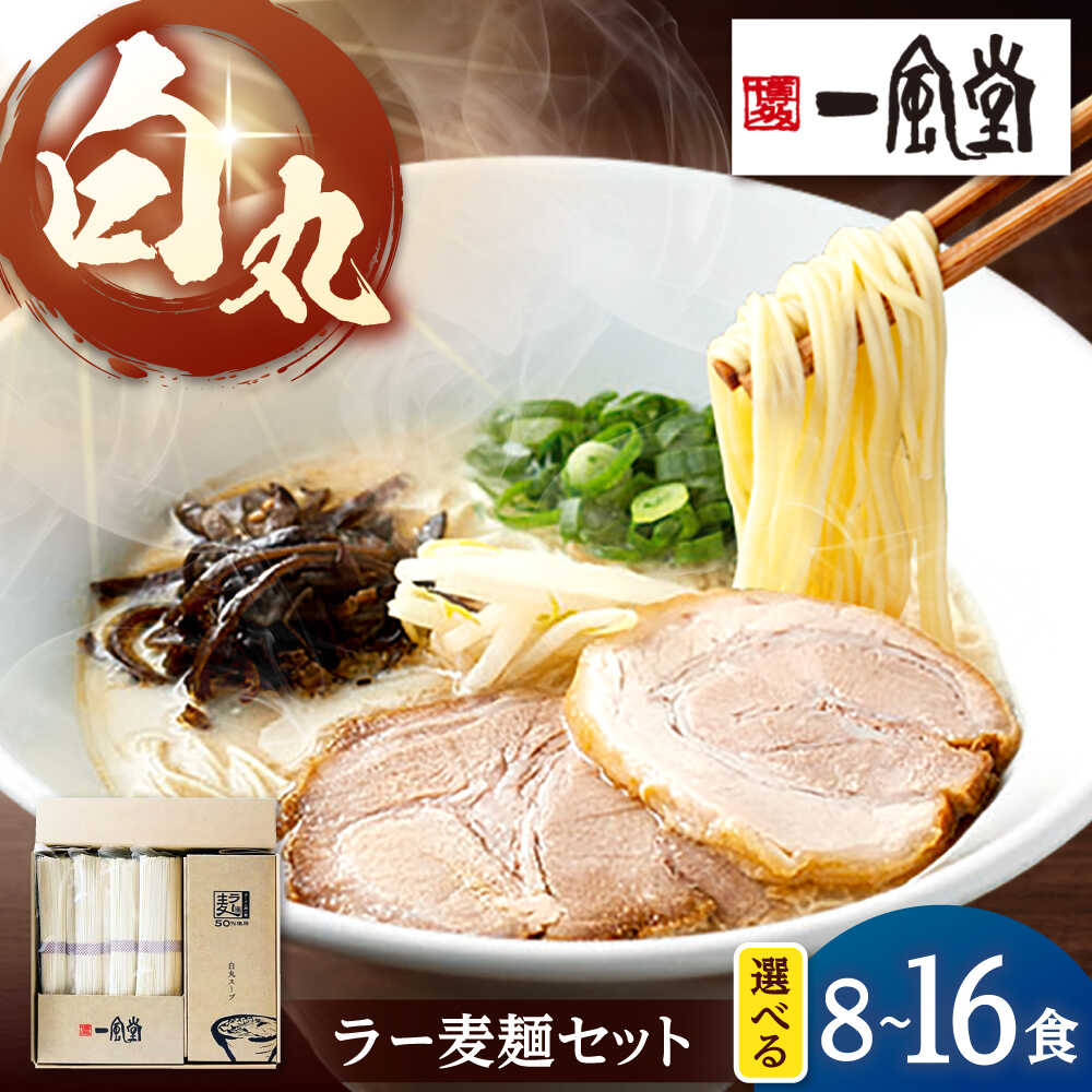 【ふるさと納税】「一風堂」白丸 ラー麦麺セット 合計8食〜16食分セット 桂川町/博多漁師の里[ADCA003] 10000 10000円 1万円 以上