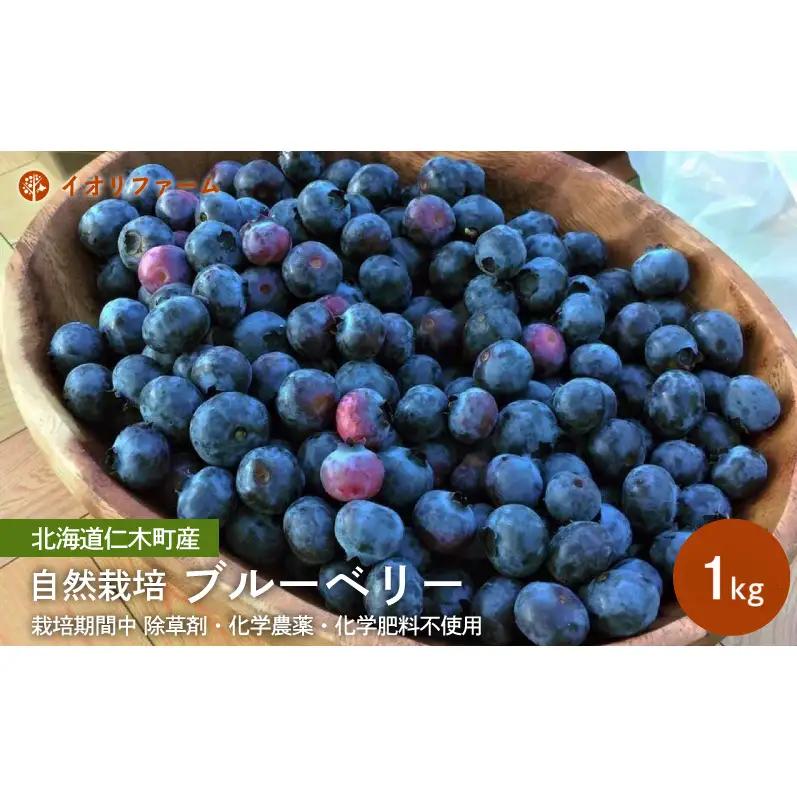 ブルーベリー 農薬不使用 北海道産 ブルーベリー【800g】