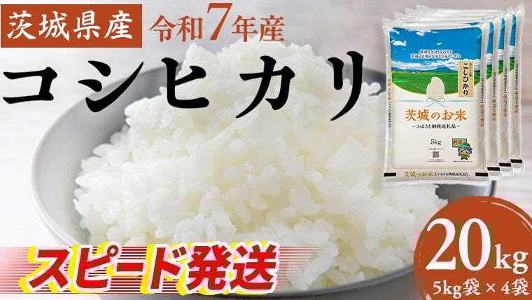 
            スピード発送!! 【12/24入金確認分まで年内配送】【 令和7年産 】 茨城県産 コシヒカリ 20kg ( 5kg × 4袋 ) 米 お米 白米 コメ こしひかり 茨城県 精米 新生活 応援 新米 スピード配送 [DK004ci]
          
