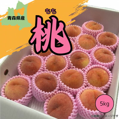 【ふるさと納税】青森県産 桃 4.5kg(12～16玉)【2025年8月中旬～発送開始】【配送不可地域：離島】【1548640】