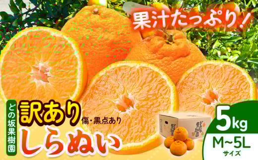 訳あり 不知火 ( デコポン と同品種 ) しらぬい 約 5kg (M～5Lサイズ) どの坂果樹園《2026年2月上旬-4月上旬頃出荷》 和歌山県 日高川町 しらぬい 不知火 デコポン でこぽん 旬 果物 フルーツ 柑橘 産地直送 訳あり不知火 訳ありデコポン デコ 送料無料 st-p