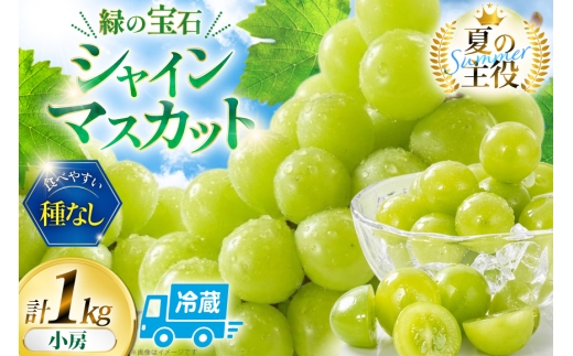 【2026年発送】 訳あり シャインマスカット 先行受付 小房 1kg [REGALO 山梨県 韮崎市 20745498] 訳アリ ワケあり 理由あり わけあり シャイン マスカット ブドウ ぶどう 葡萄 フルーツ 果物 くだもの  旬 山梨 ギフト 贈り物 フルーツギフト 贅沢 ご褒美 ふるさと納税