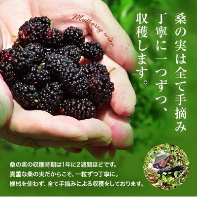 ふるさと納税 合志市 桑の実ワイン甘口・辛口2本セット |  | 02