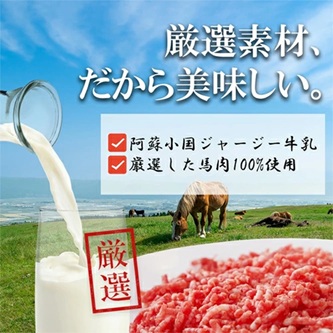 【阿蘇牧場】6回 定期便 馬肉ハンバーグ 熊本と畜 馬肉100％ 馬ミンチ ヘルシーミート 高タンパク 低カロリー 150g 12個 計1800g 1.8kg 合計72個 10.8kg 小分け 個包装