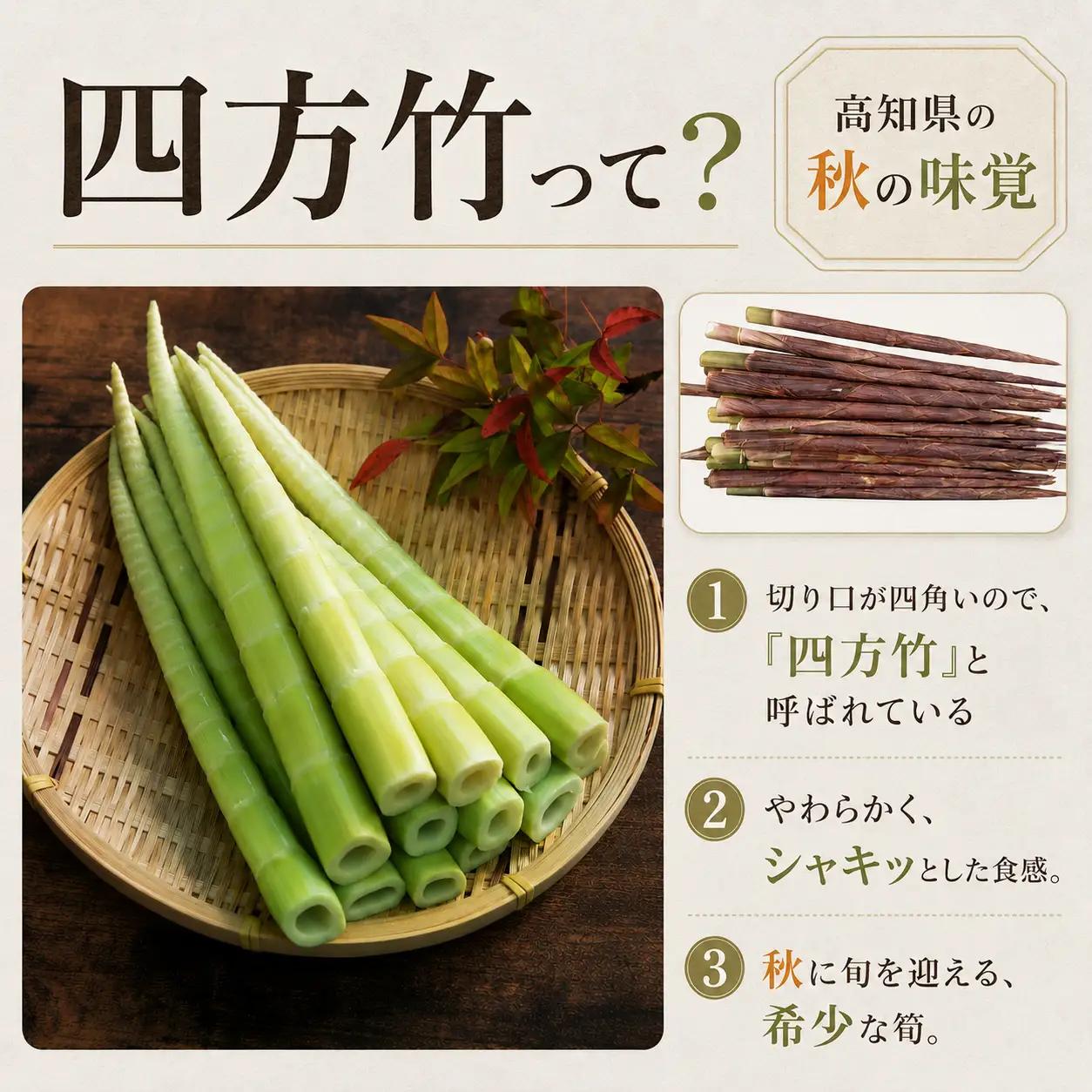 【8月まで 受付限定】 国産 四方竹 水煮 120g × 2袋 (2026年11月～発送) | 国産 シホウチク 筍 たけのこ 特産 珍味 希少 高知 南国市