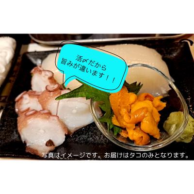 ふるさと納税 釧路市 北海道産・ボイルたこ脚 (真だこ)　1kg前後 たこ 刺身 たこ焼き カルパッチョ F4F-2245 |  | 03