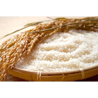 ふるさと納税 武豊町 【毎月定期便】人気のお米 ミルキークイーン10kg≪低アミロース米≫毎月全6回 |  | 01