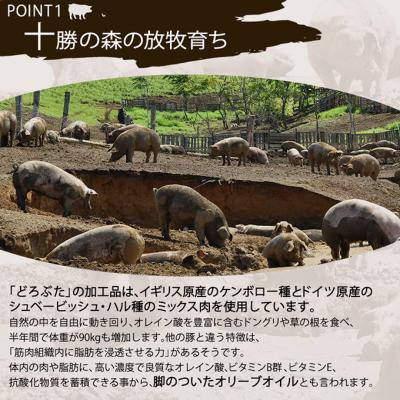 ふるさと納税 幕別町 十勝幕別産ブランド放牧豚[どろぶた]豚丼ジンギスカンセット[53691370] |  | 03