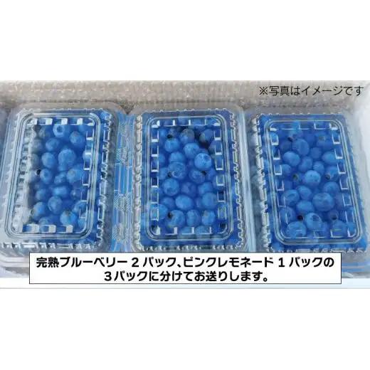 ≪先行予約≫【 数量限定 】 朝採れ 完熟 ブルーベリー 700g と ピンクレモネード 350g の 詰合せ セット 食べ比べ (1パックあたり 350g ) 【 2026年 6月上旬頃より発送開始