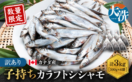 【数量限定！】 子持ち カラフトシシャモ 3kg (500g×6袋)  訳あり シシャモ_AV011