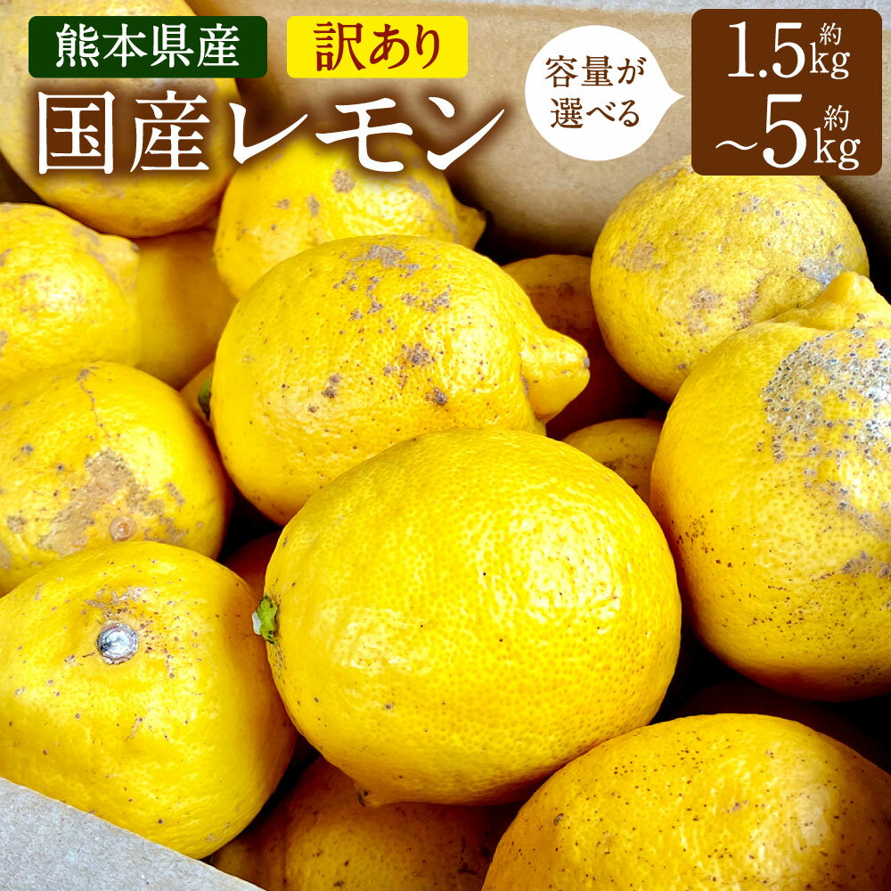 【ふるさと納税】国産レモン 訳あり ＜容量が選べる＞ 約1.5kg 約2.5kg 約5kg 県認証特別栽培 熊本県産 B品 C品 レモン れもん 檸檬 レモン果汁 ご家庭用 傷あり フードロス 柑橘類 九州産 国産 防腐剤・ワックス不使用 送料無料【2025年6月上旬迄発送予定】