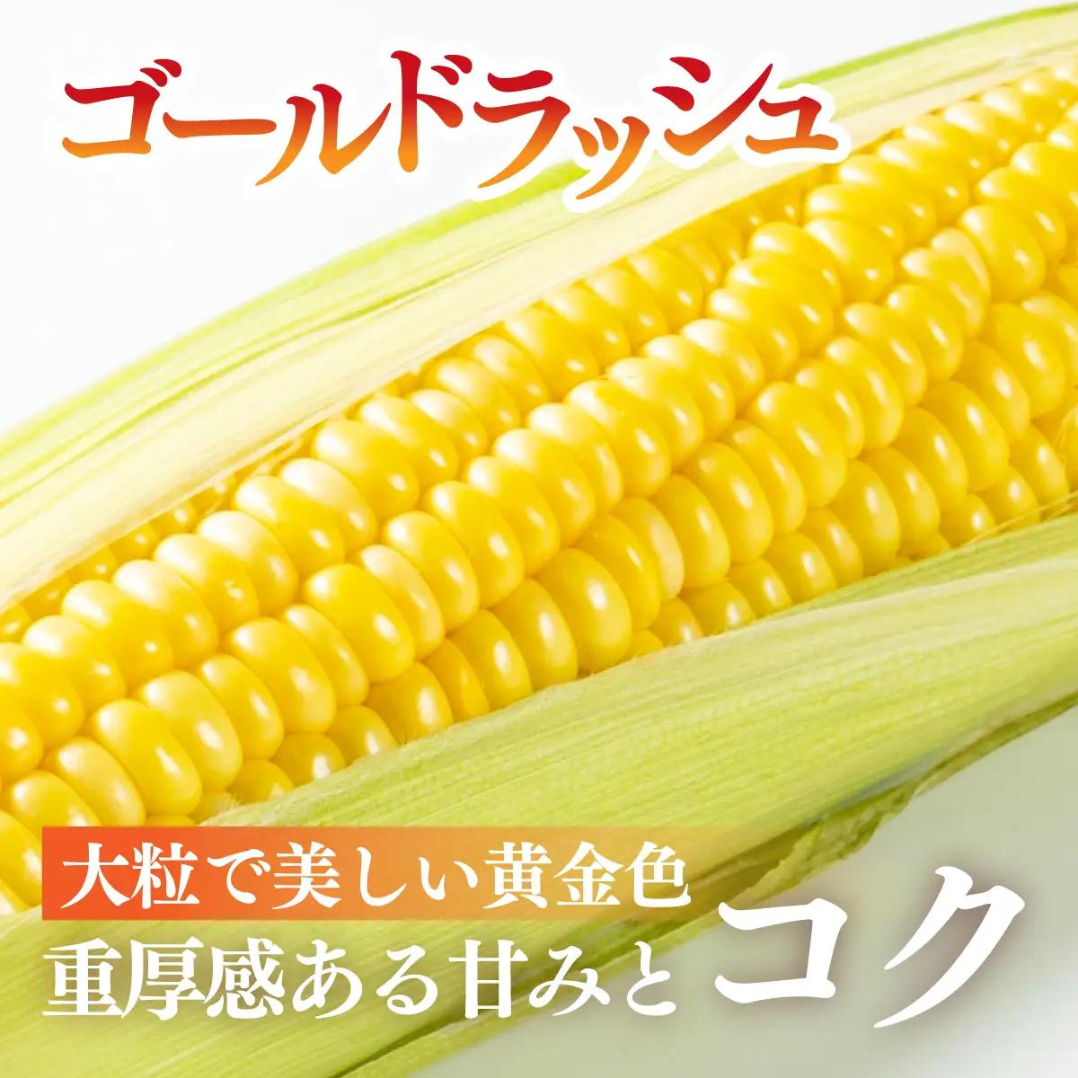 太陽のとうもろこし 【ゴールドラッシュ】 6本セット | とうもろこし