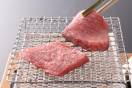 【最高級】飛騨牛A5ランク 肩ロース焼肉 700g【39-8】