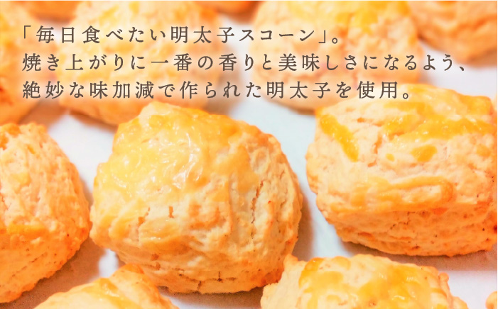 【ご自宅用】定番スコーン+明太チーズスコーン 計12個セット《糸島》【キナフク】 [AFA011]