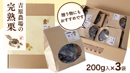 【 吉原農場 の 完熟栗 】 熟成 焼き栗 3袋  ( 200g × 3袋 ) R7年産 完熟 栗 くり クリ 栗ごはん 贈答 ギフト 果物 フルーツ 数量限定 旬 秋 冬 正月 おせち [CX020