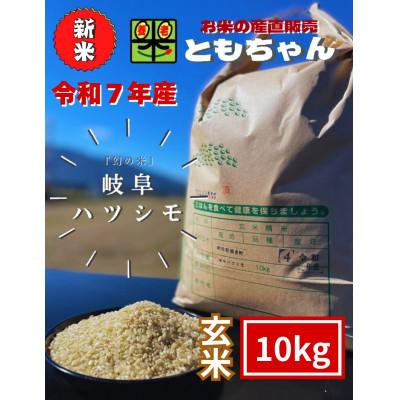 ふるさと納税 養老町 令和7年産　岐阜ハツシモSL　玄米　10kg